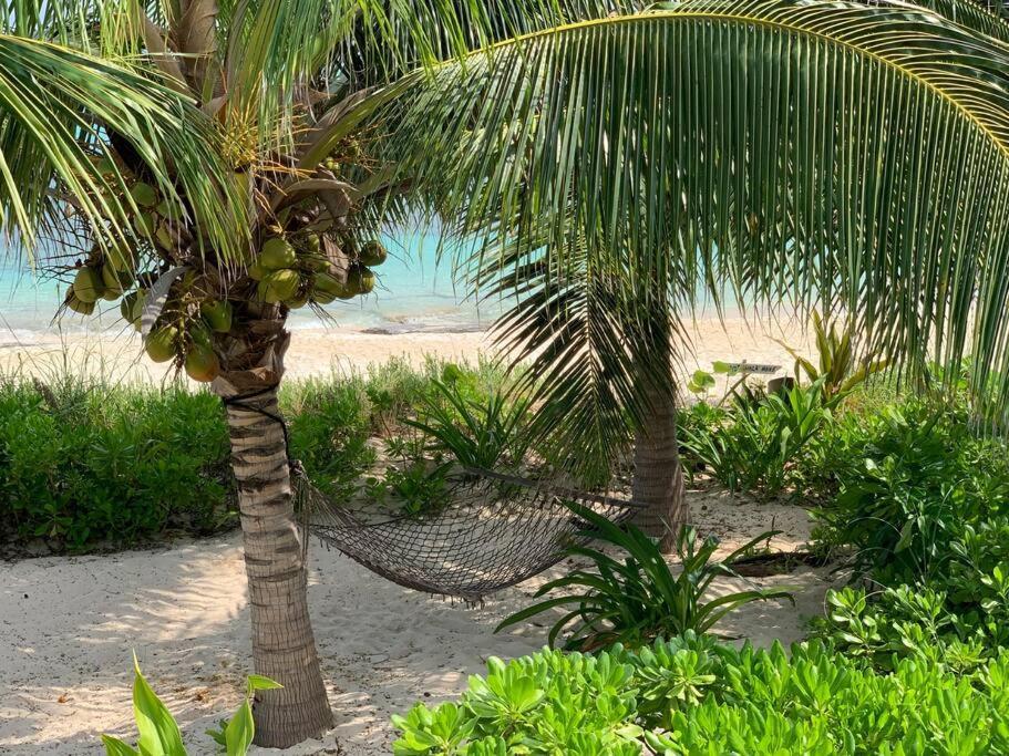Beach'Nbarefoot Nassau Extérieur photo